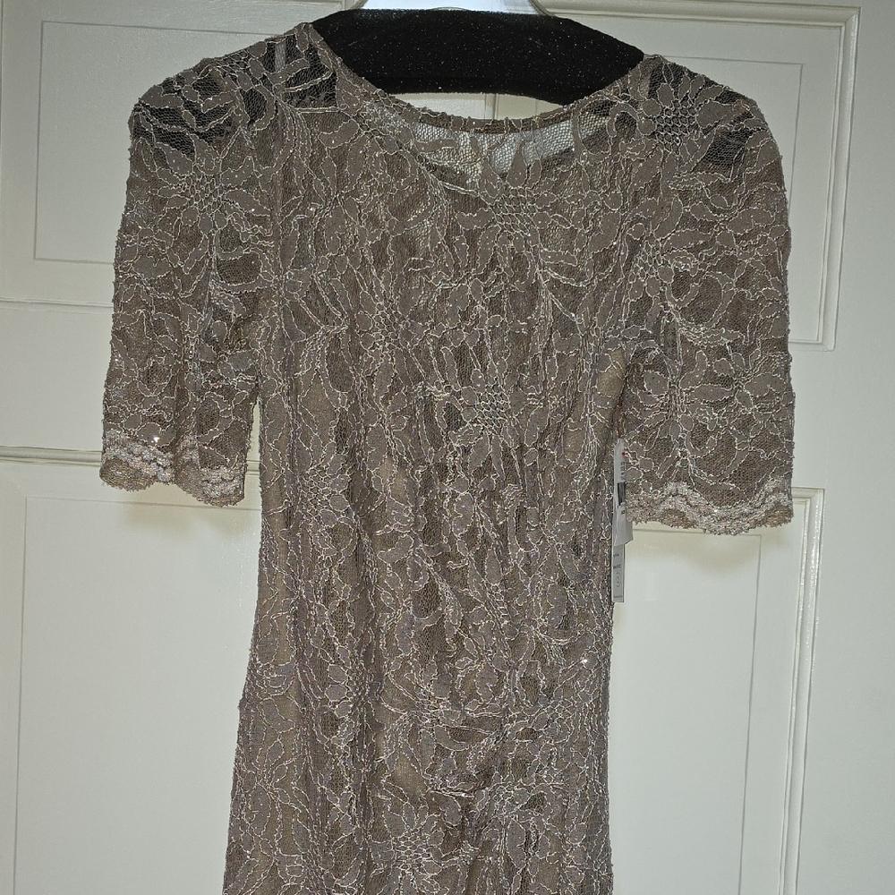 Elegant Lace Short Sleeve Long Dress in Taupe